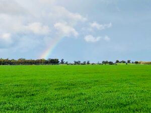 Early spring crops